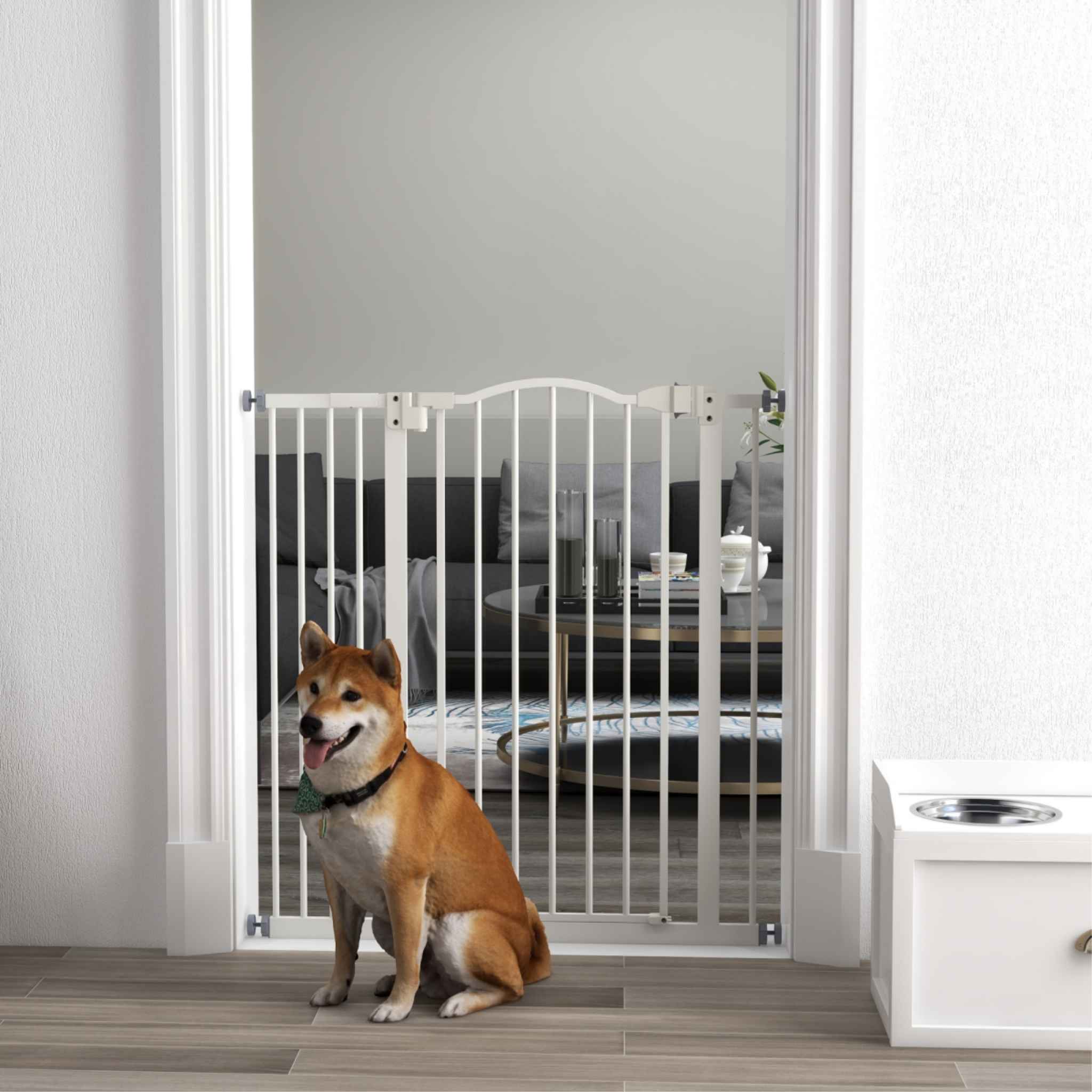 Dog sitting in front of tall white dog barrier in hallway