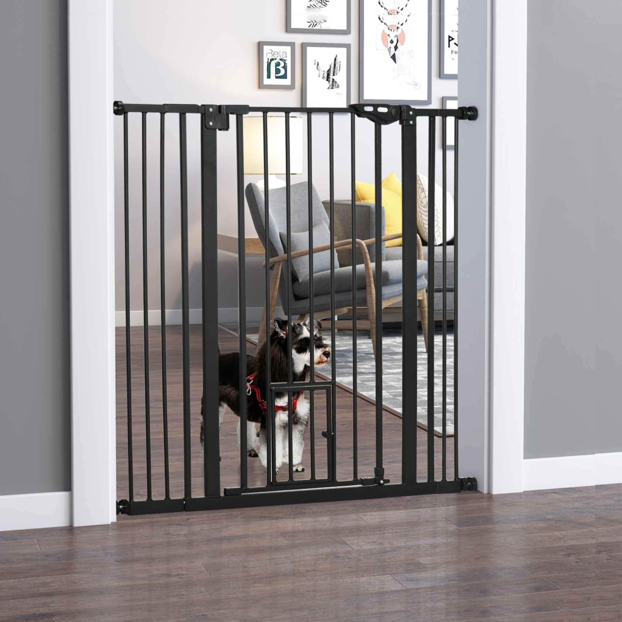 Dog standing behind tall black pet barrier