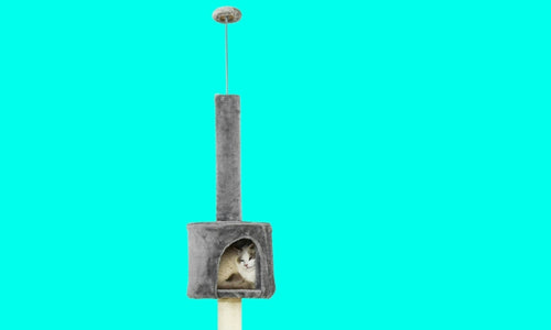 Floor to ceiling cat tree