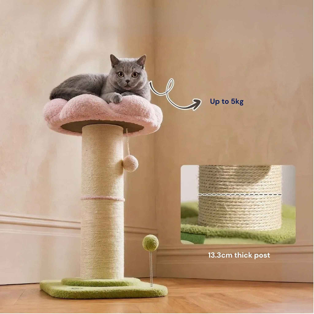 Flower scratching post thickness