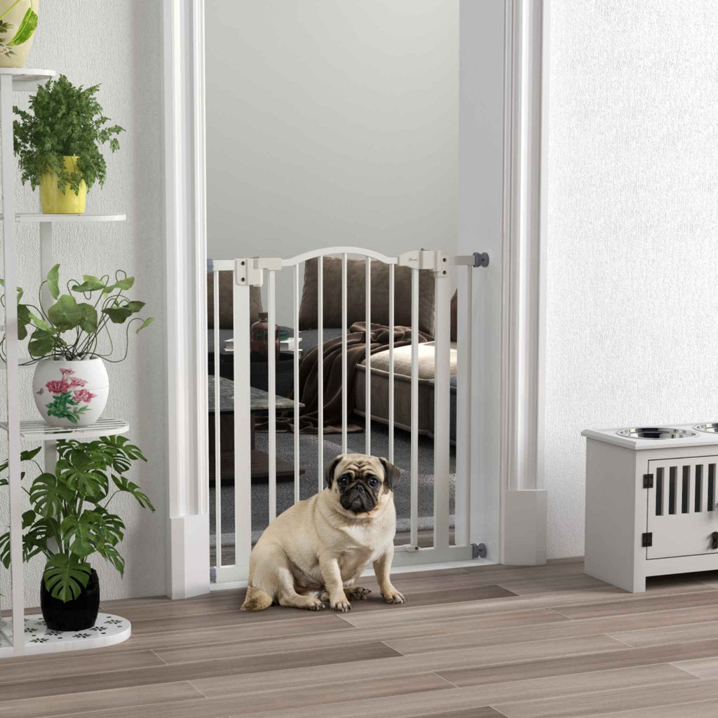 French bulldog sitting in front of white dog barrier
