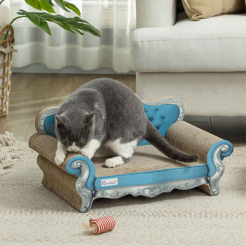 Grey cat scratching corrugated cardboard