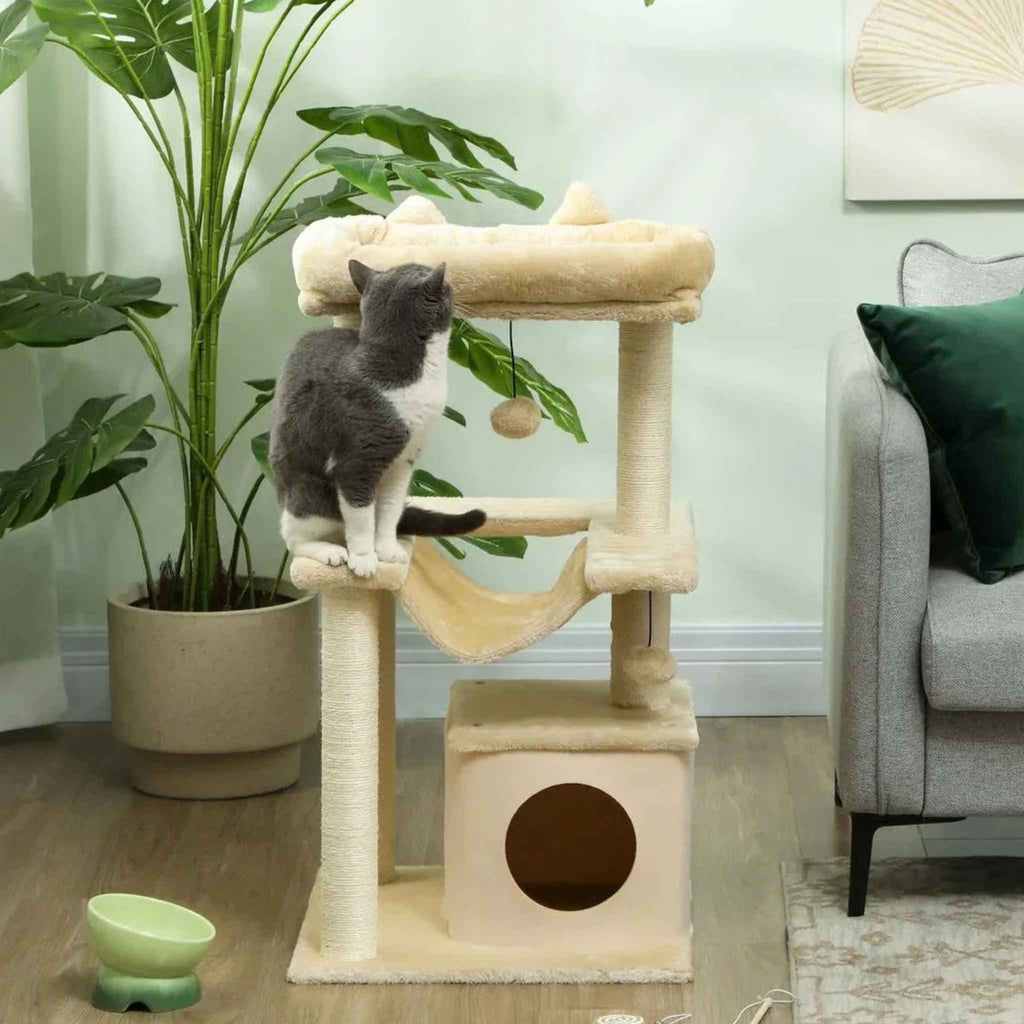 Grey cat sitting on first level of small cat tree