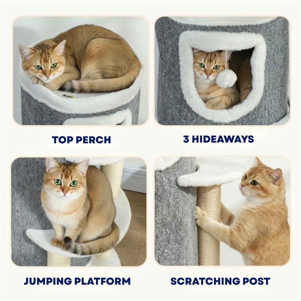 Grey scratching barrel features