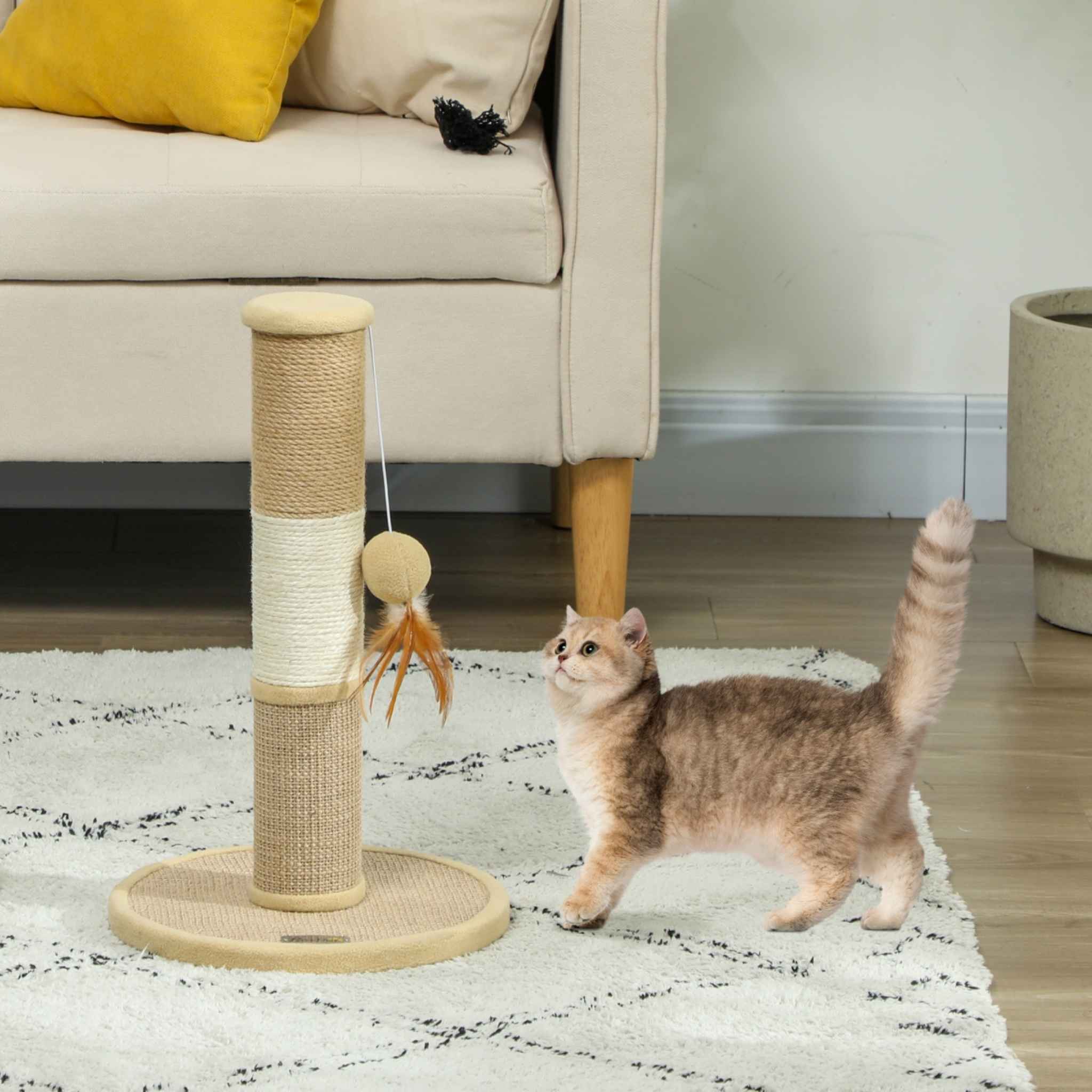 Kitten looking at dangling toy