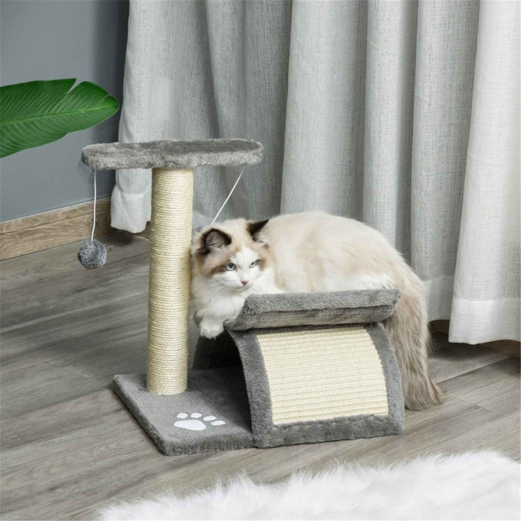 Kitten sitting on small cat tree