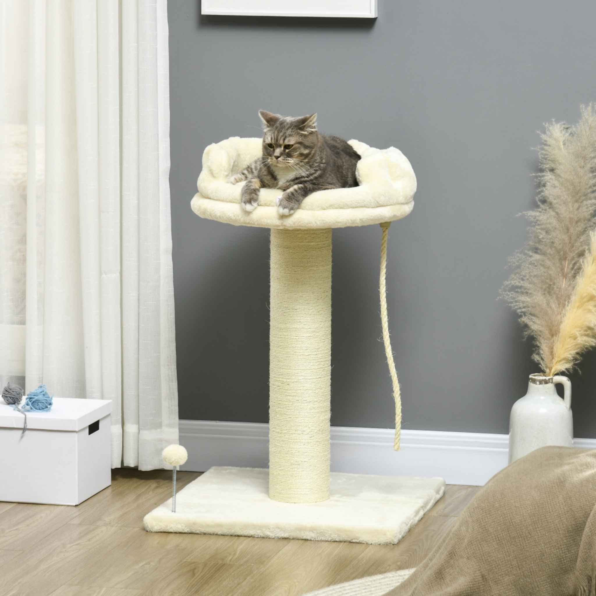 Kitten sitting on top perch of cream scratching post