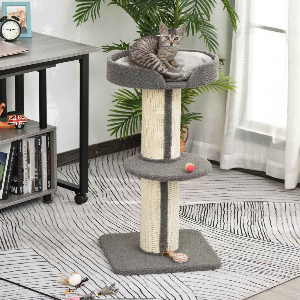 Kitten sitting on top perch of grey cat scratcher post
