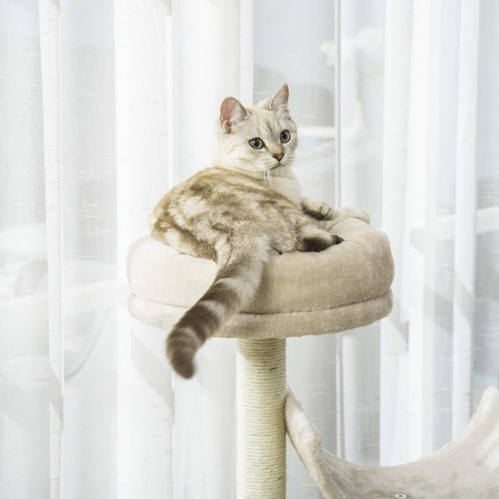 Kitten sitting on top platform of cream cat scratching post