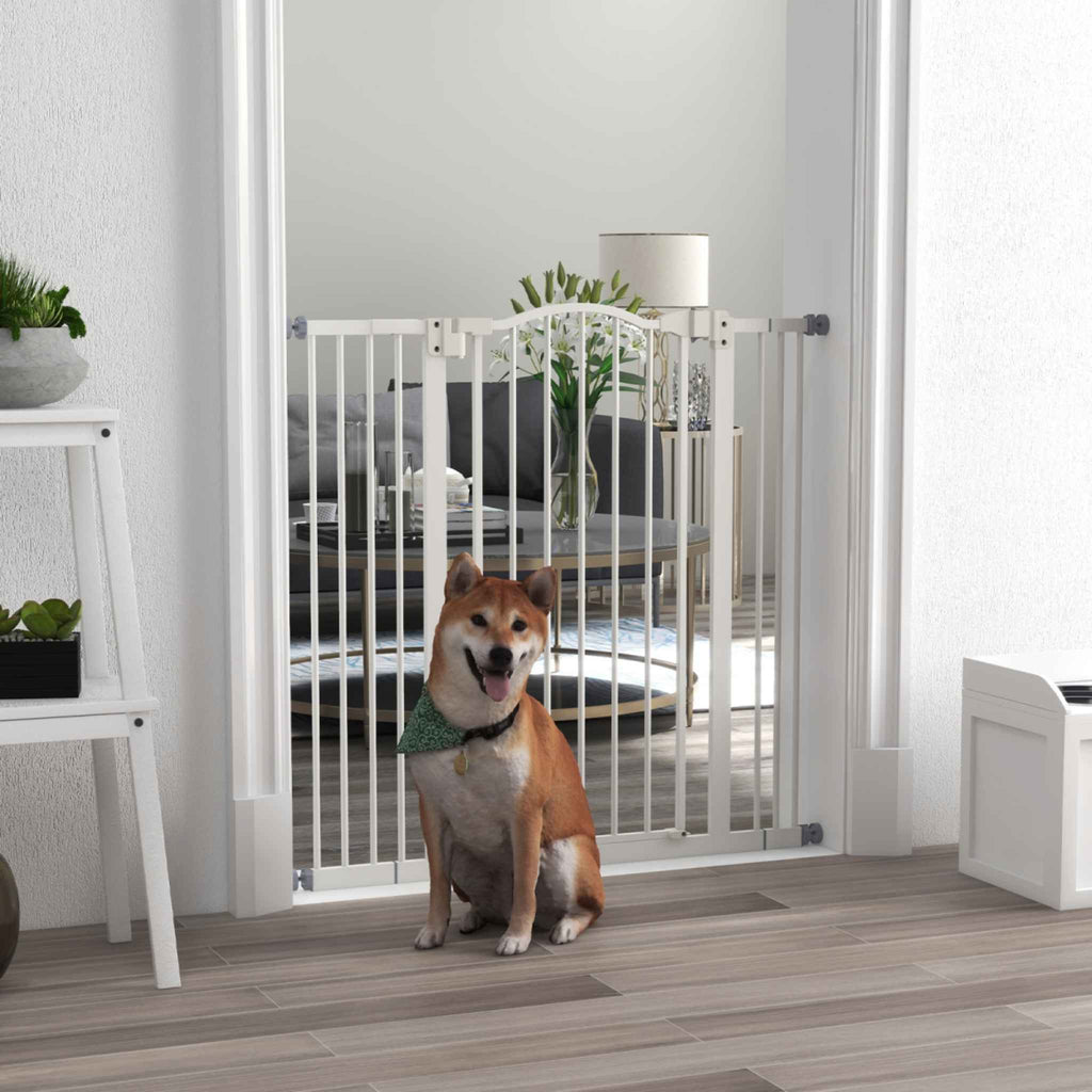 Medium size dog in front of tall white metal safety barrier