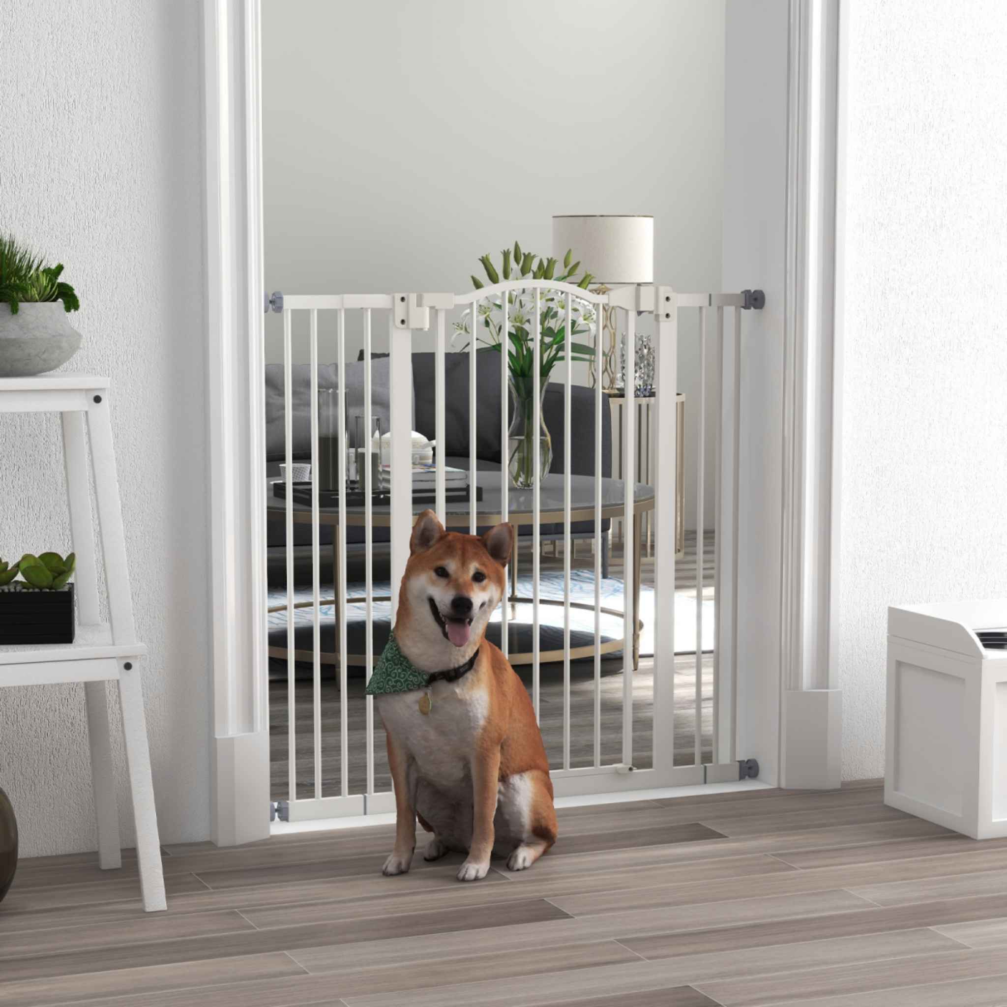 Medium size dog in front of tall white metal safety barrier