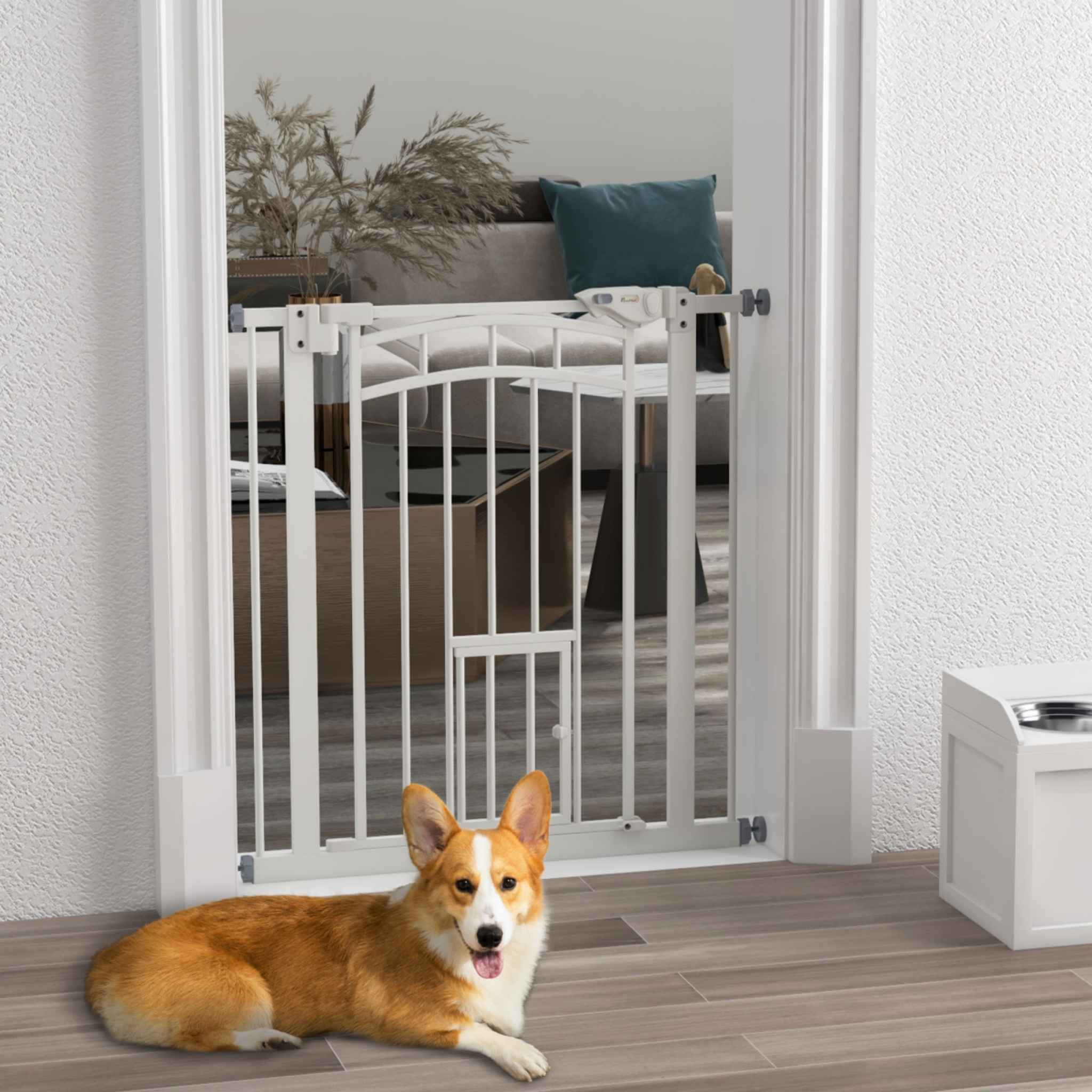 Medium size dog sitting in front of white metal pet barrier in living room