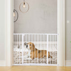 Medium sized dog laying behind pet barrier