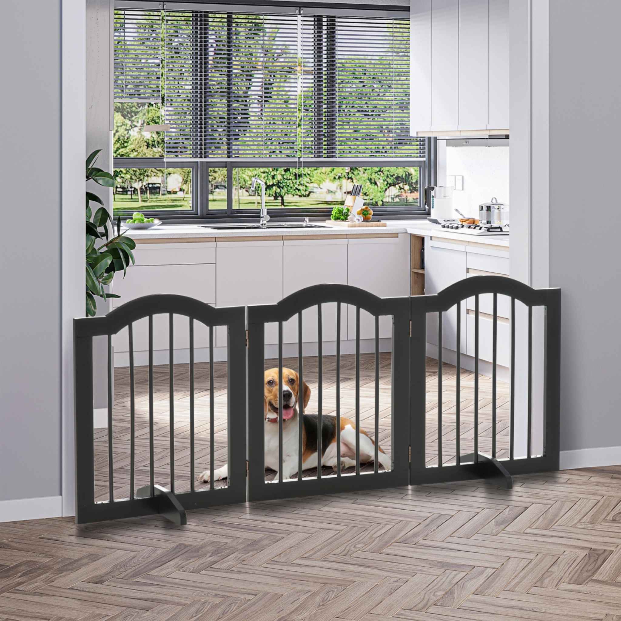 Medium sized dog sitting behind black wooden dog gate in doorway