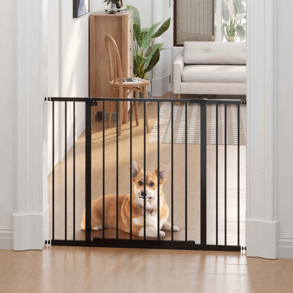 Medium sized dog sitting behind wide black pet gate