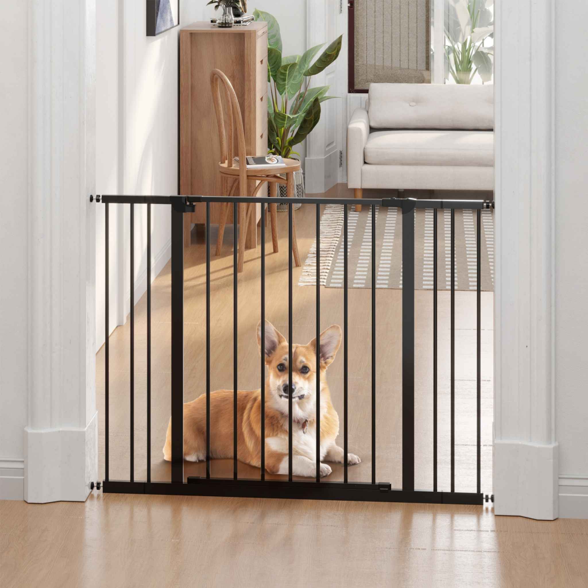 Medium sized dog sitting behind wide black pet gate