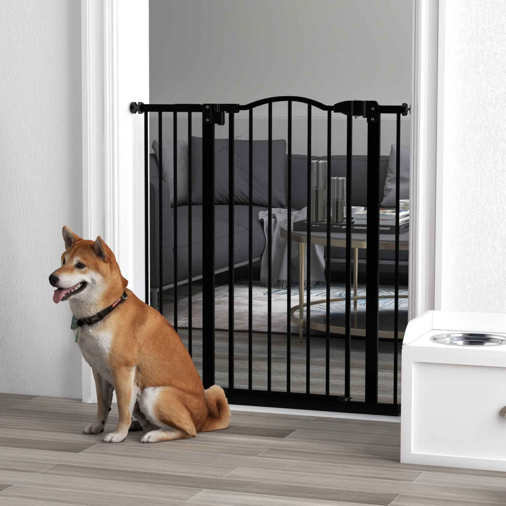 Medium sized dog sitting in front of black metal dog gate in living room