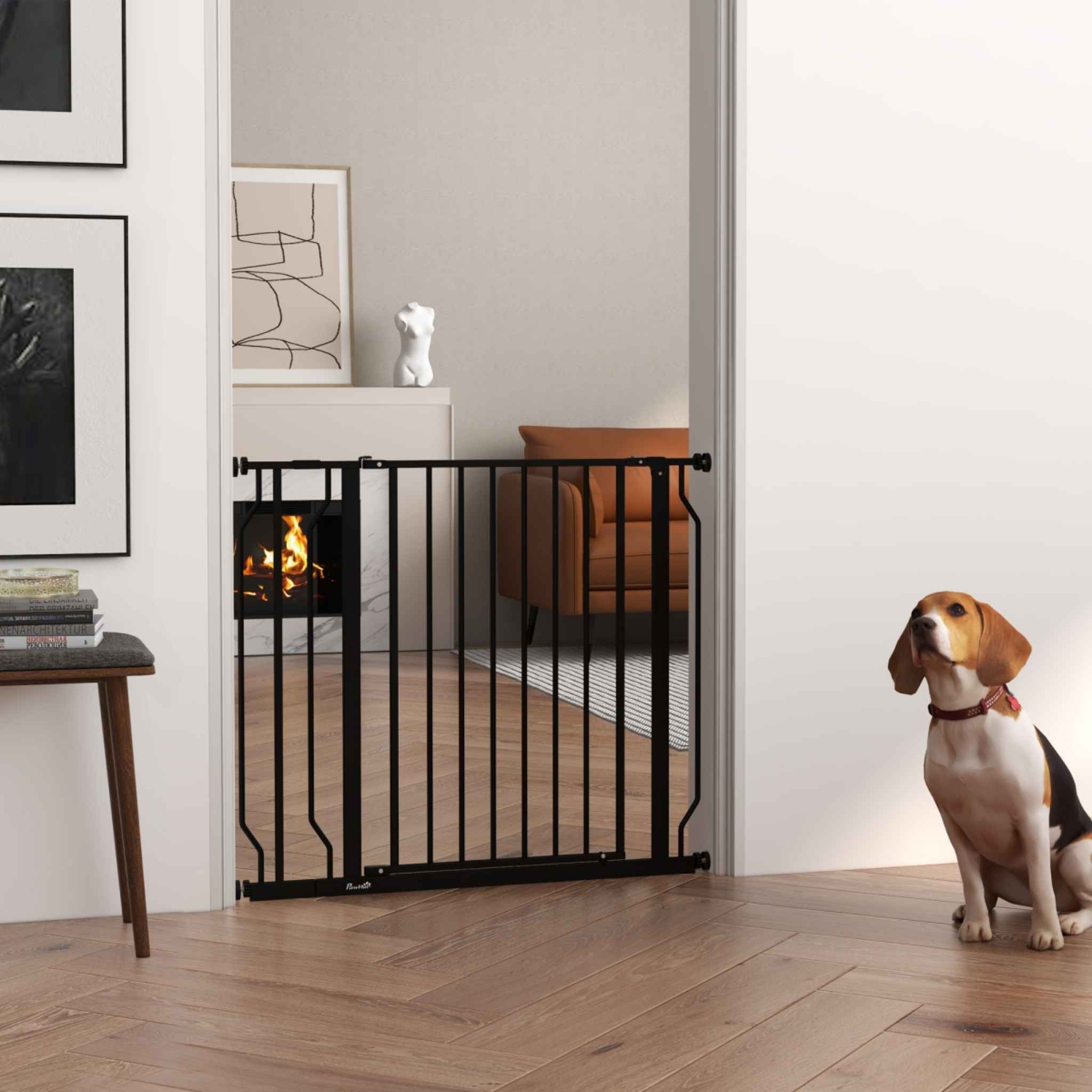 Medium sized dog sitting in front of pet barrier