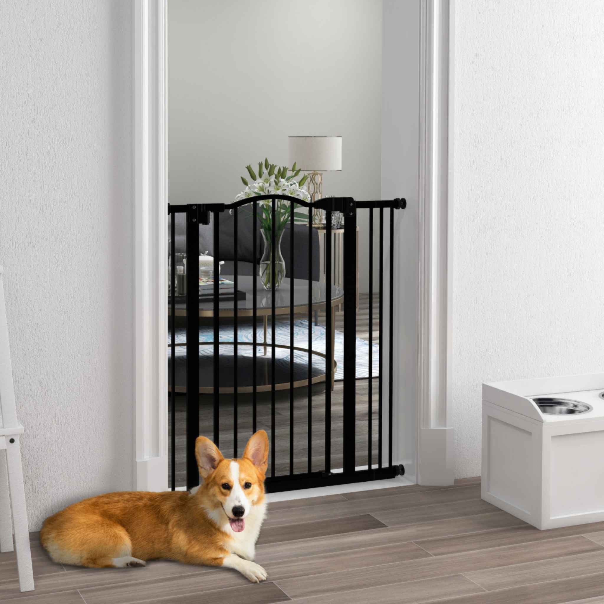 Medium sized dog sitting in front of tall black metal safety barrier in living room