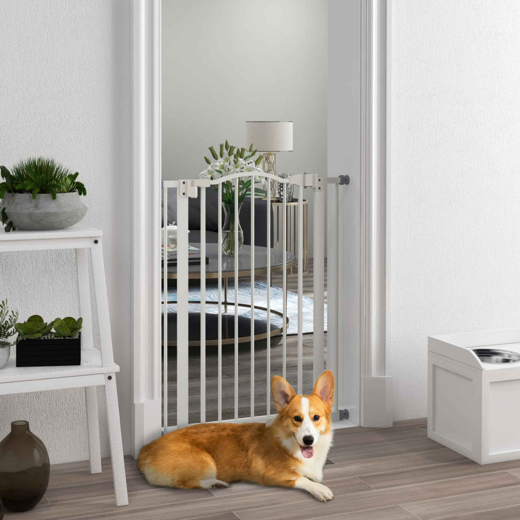 Medium sized dog sitting in front of tall narrow white metal safety gate in living room