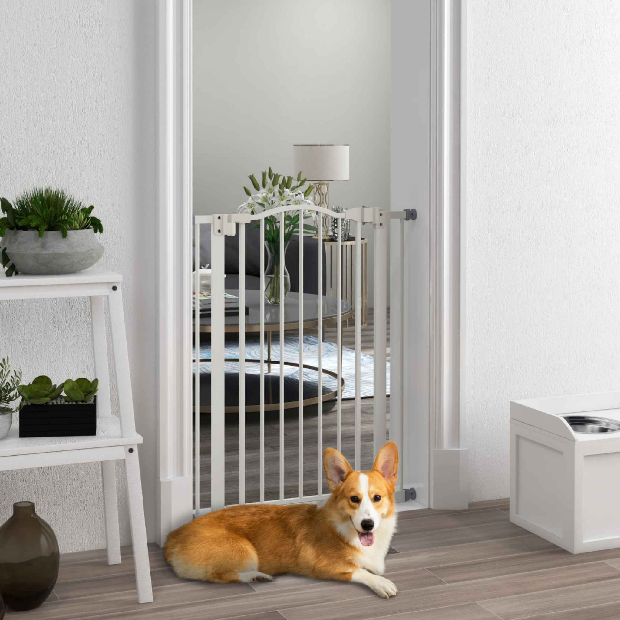 Medium sized dog sitting in front of tall narrow white metal safety gate in living room