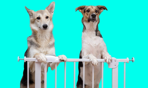 Pet gates, safety gates and dog pens