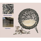 Raised cat bed product features