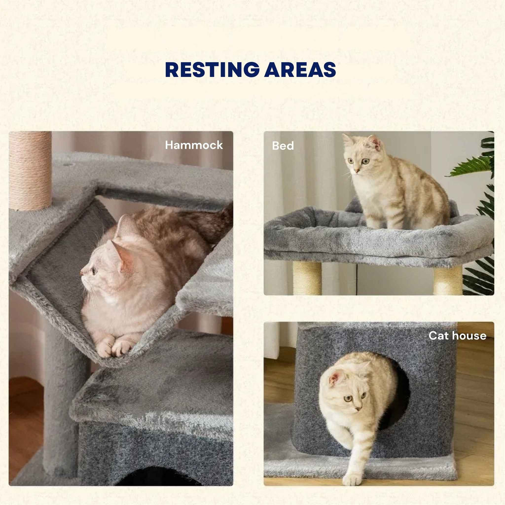 Resting areas on small cat tower