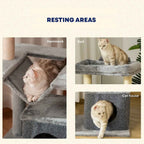 Resting areas on small cat tower