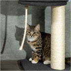 Small cat playing with dangling toy