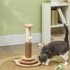 Small cat scratching post with self groomer and interactive toys in living room