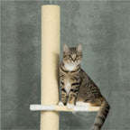 Small cat sitting on top level of cream cat tree