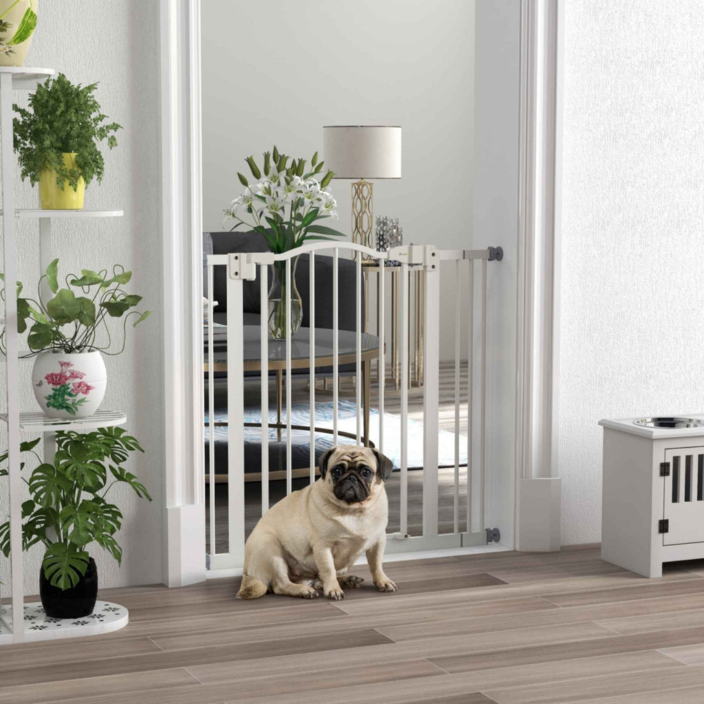 Small dog in front of white metal dog barrier in living room