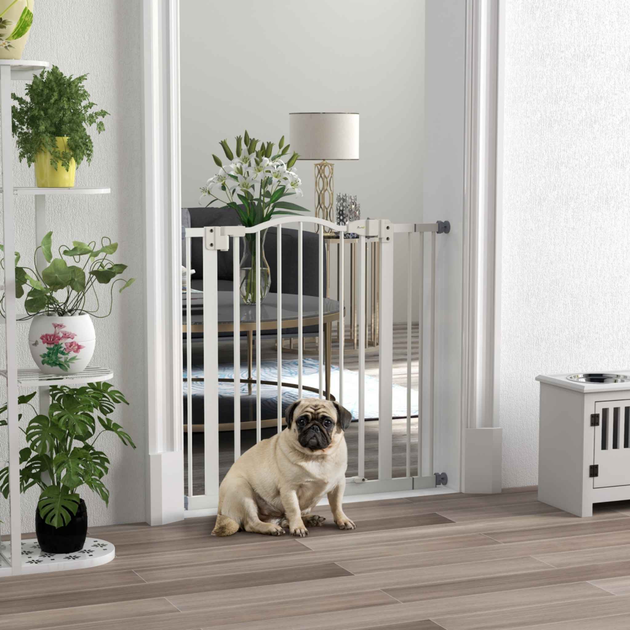 Small dog in front of white metal dog barrier in living room