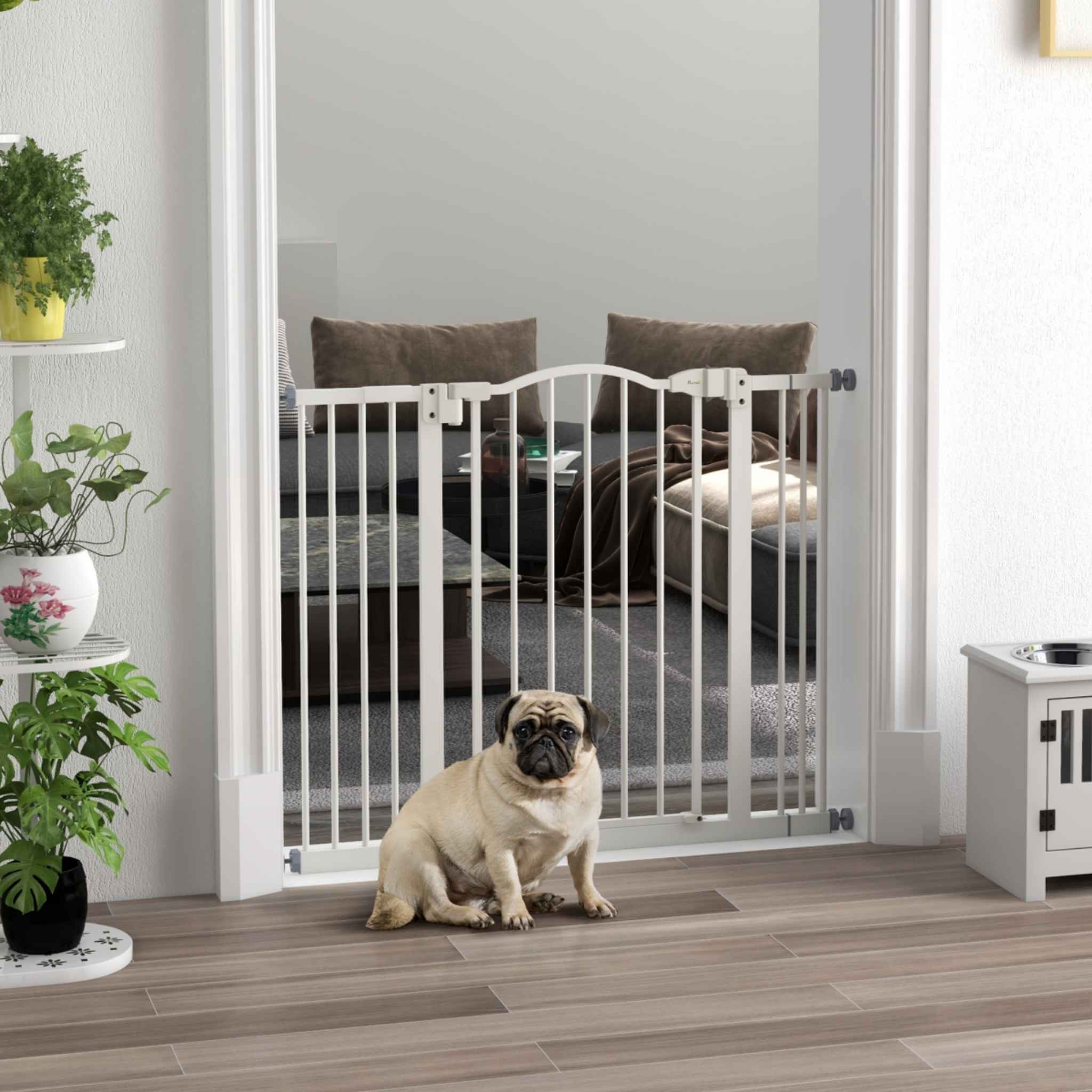 Small dog in front of wide white metal dog barrier in living room