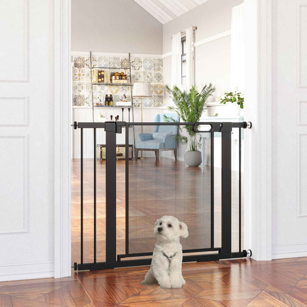 Small dog sitting in front of black metal pet gate fitted in hallway