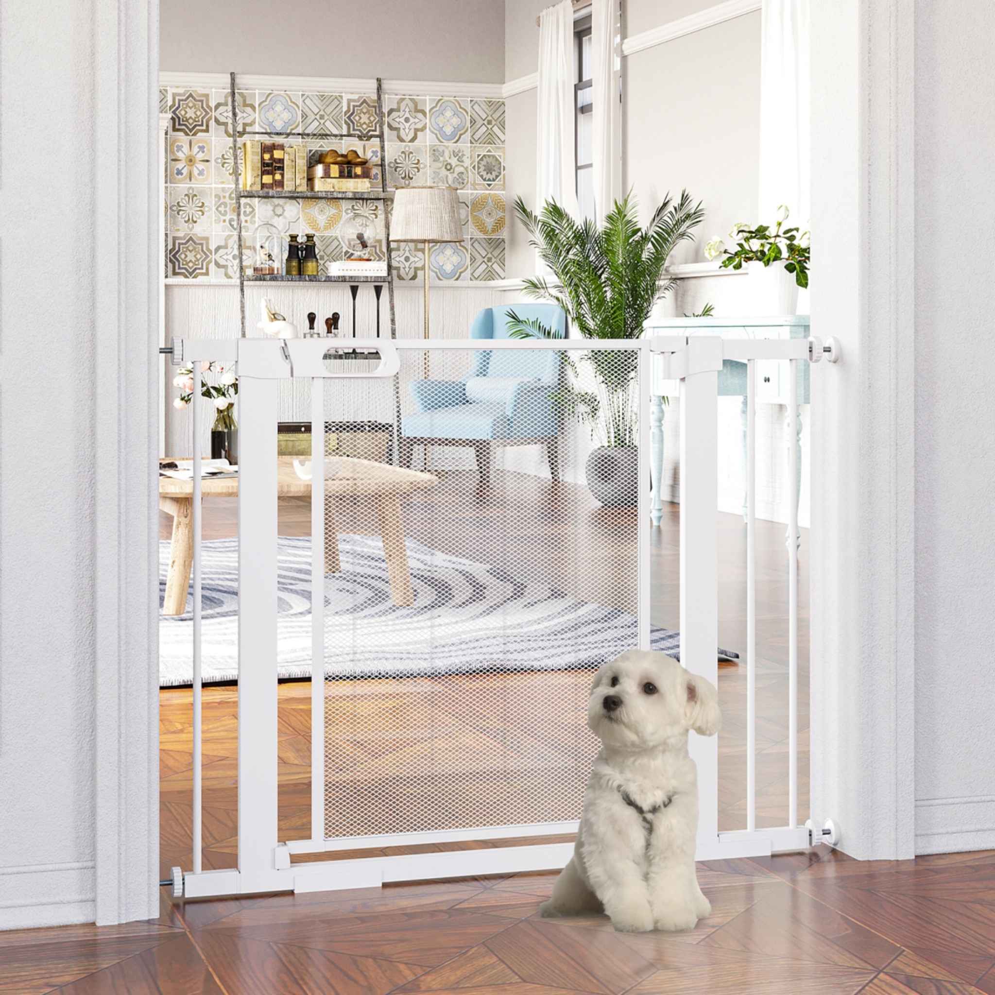 Small dog sitting in front of white pet gate in hallway