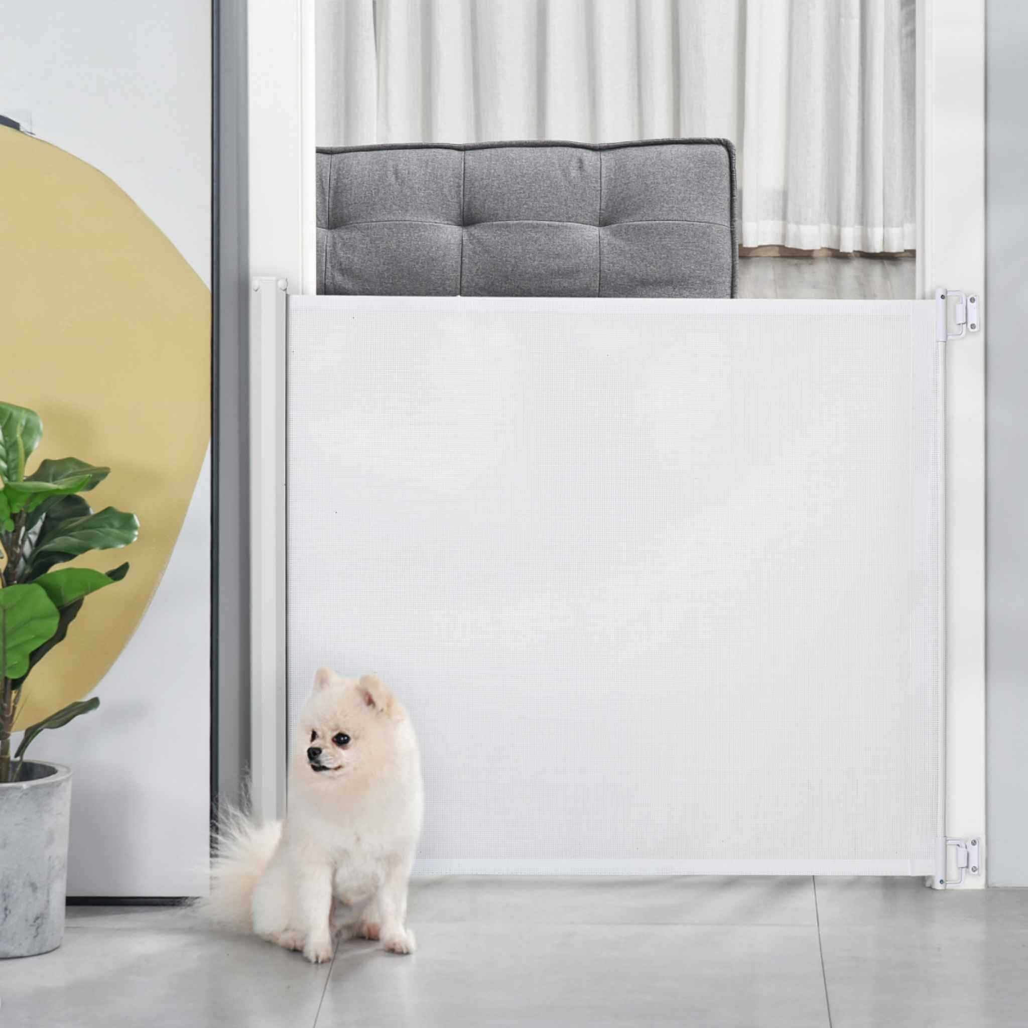 Small dog sitting in front of white retractable dog barrier