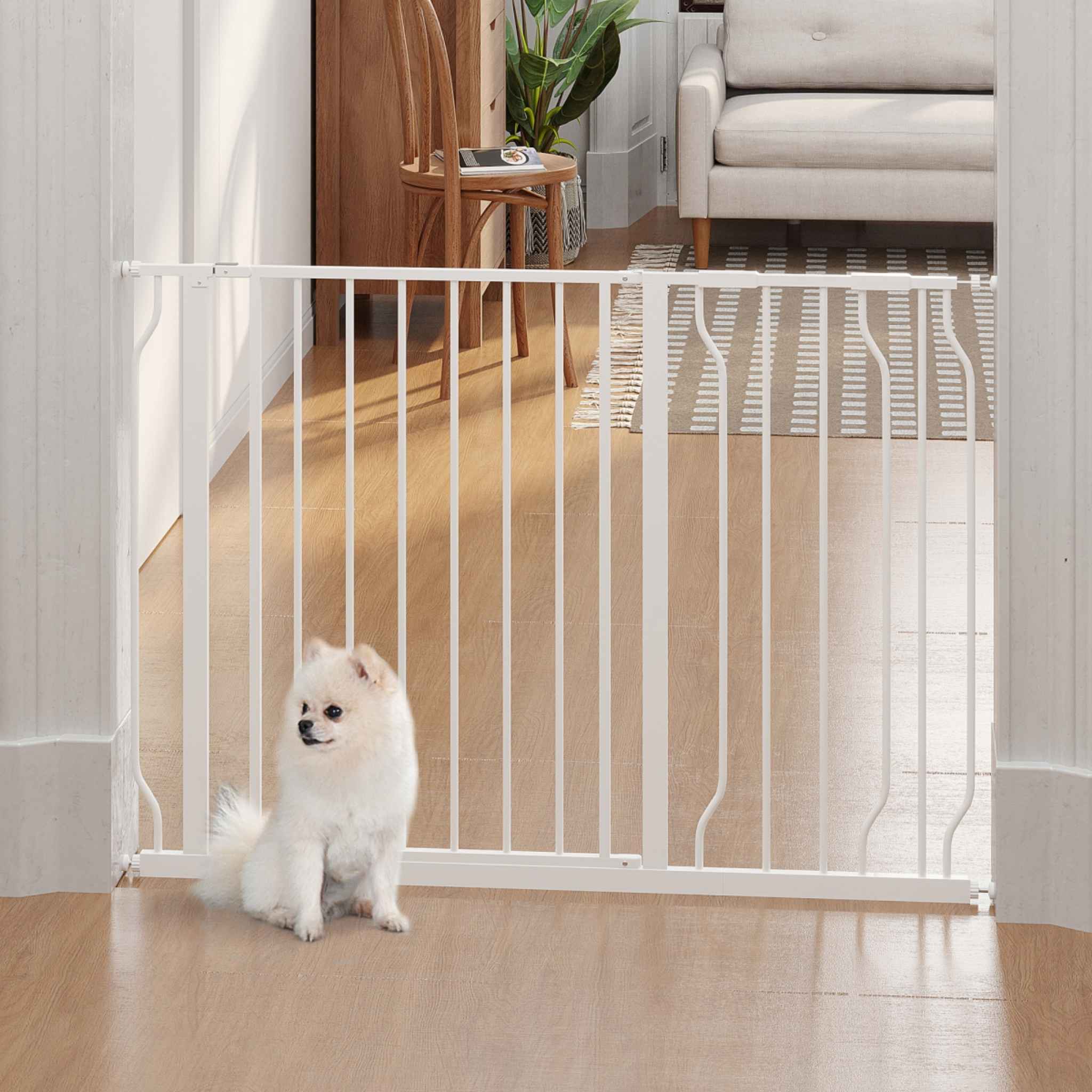 Small dog sitting in front of wide pet barrier pressure fitted in hallway