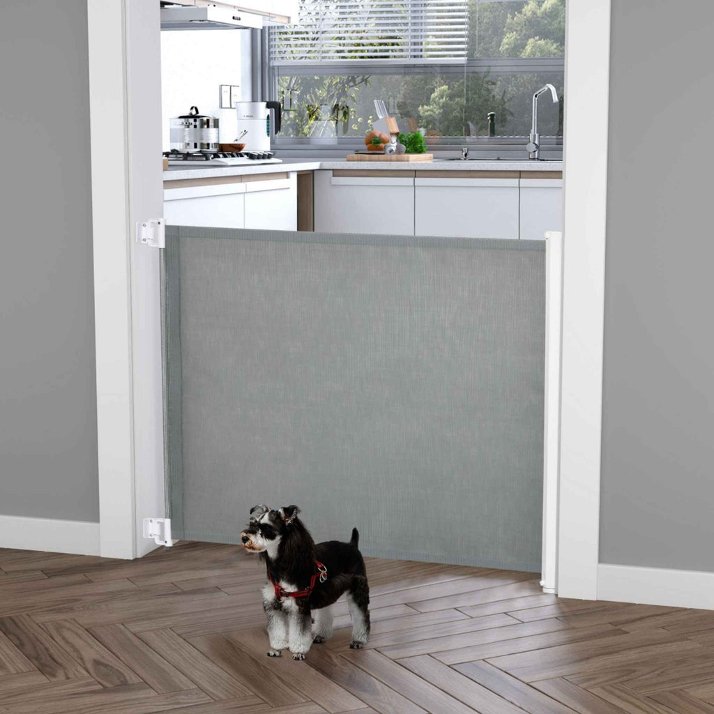 Small dog standing in front of retractable pet gate in doorway