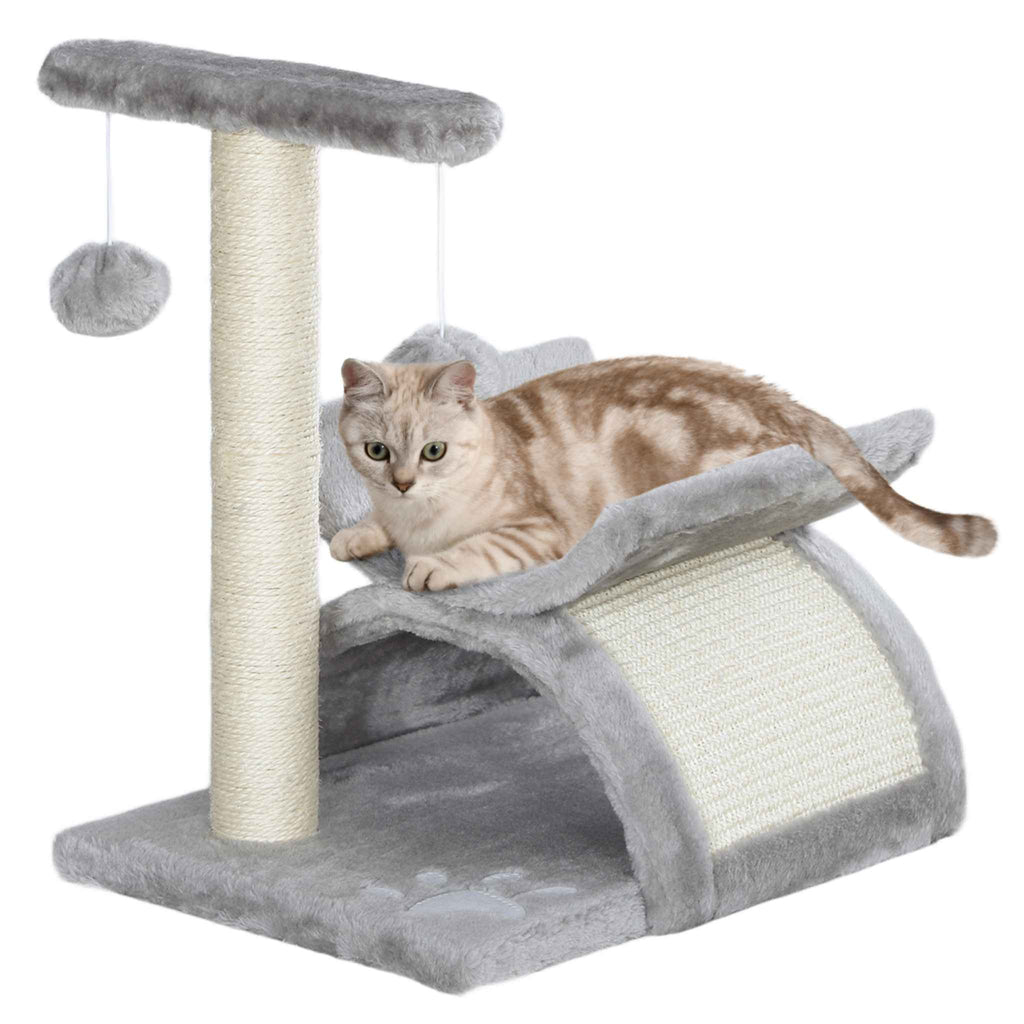 Small grey kitten tree
