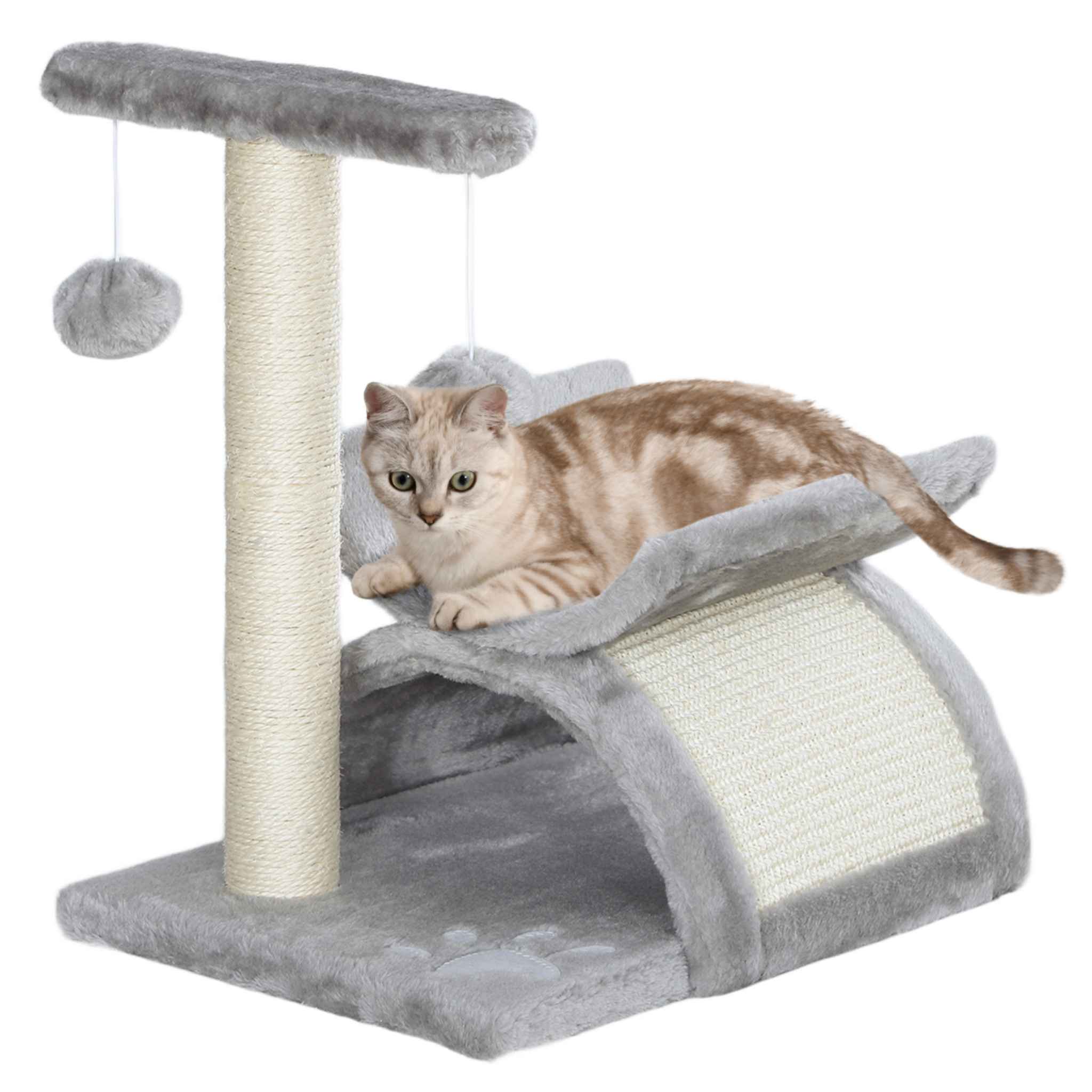 Small grey kitten tree