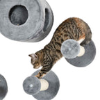 Tabby cat climbing over wall mounted perches
