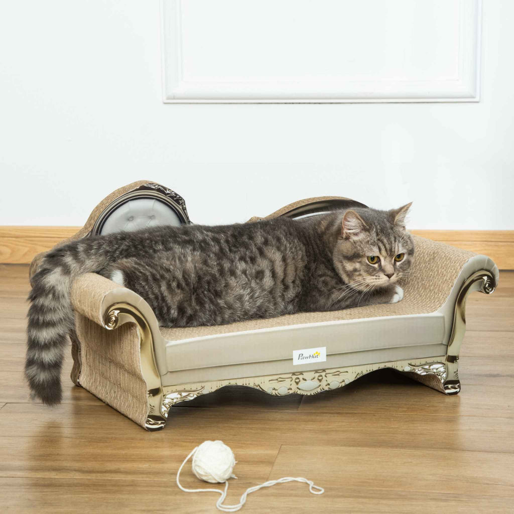 Tabby cat laying on brown retro cat scratcher bed