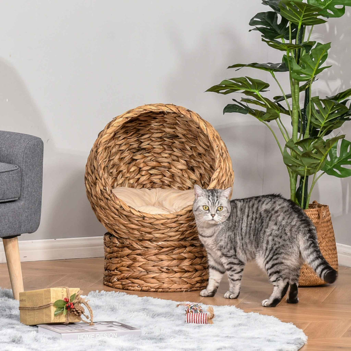 Tabby cat next to wicker cat bed in living room