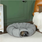 Tabby cat playing in bed tunnel