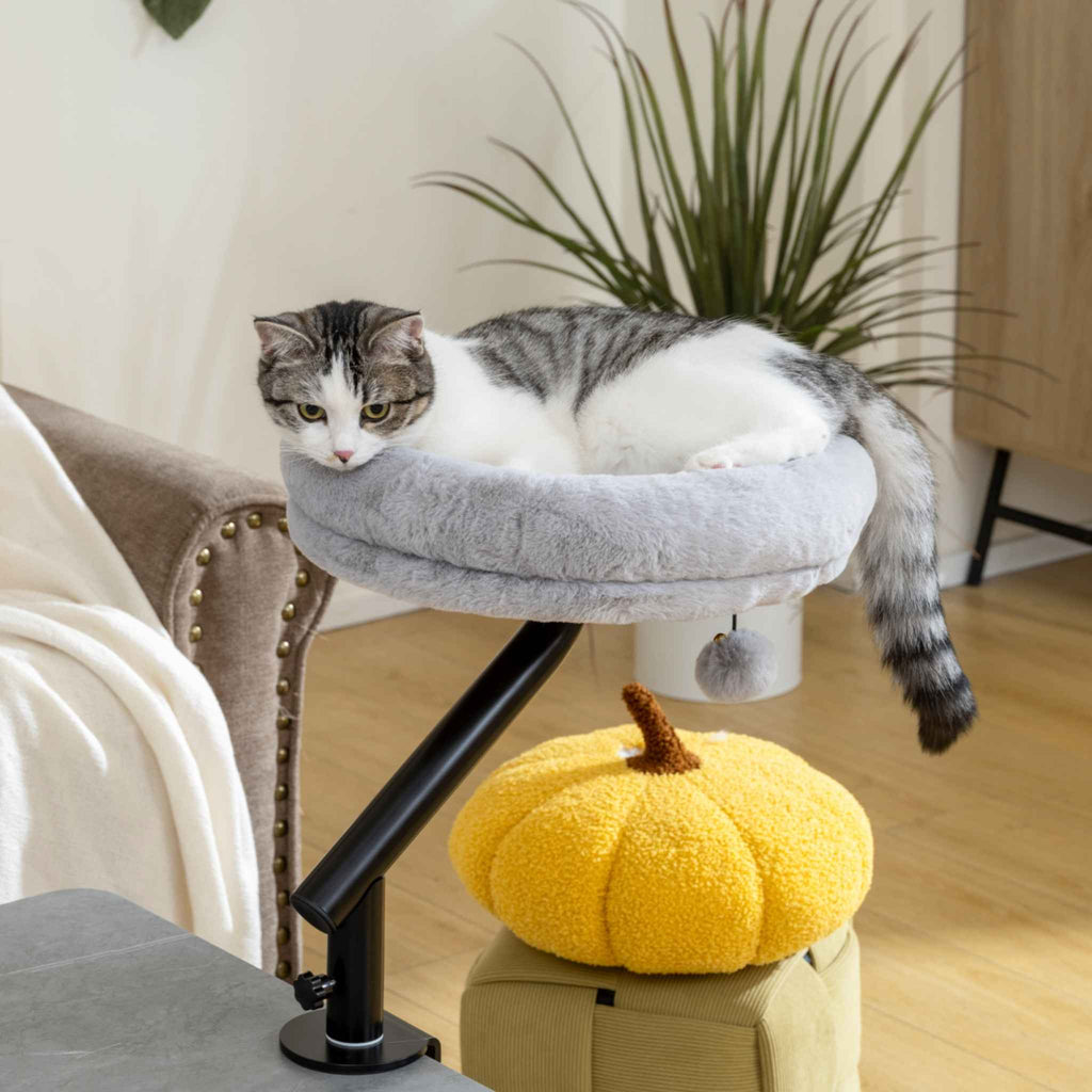 Tabby cat relaxing in grey desk bed