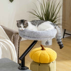 Tabby cat relaxing in grey desk bed