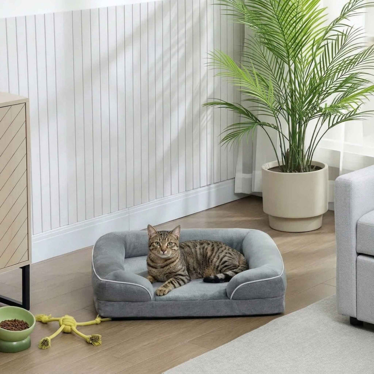 Tabby cat resting in bed