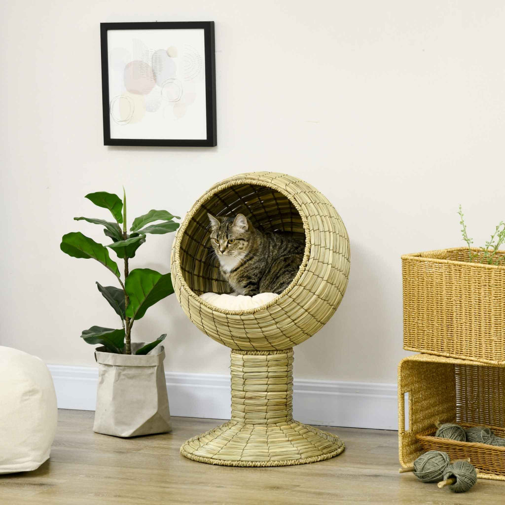 Tabby cat resting in raised cat bed